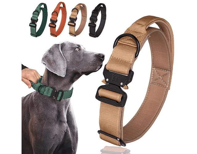 Collar Táctico Ajustable Reforzado Lanzamiento Asa Perro - L