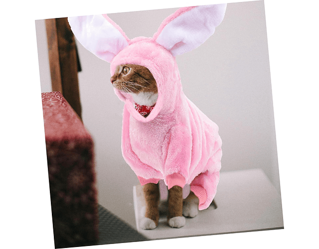 Poleron Disfraz De Conejo Pijama Polar Ropa Frio Mascotas