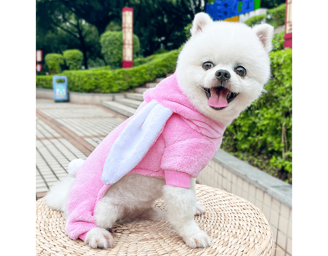 Poleron Disfraz De Conejo Pijama Polar Ropa Frio Mascotas