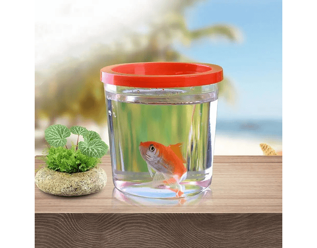 Mini Pecera Pequeño Acuario Tanque De Peces Pez