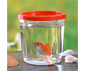 Mini Pecera Pequeño Acuario Tanque De Peces Pez