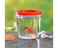 Mini Pecera Pequeño Acuario Tanque De Peces Pez