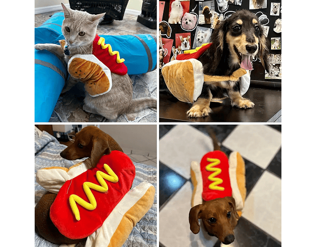 Disfraz Para Perros, Gatos Diseño Hot Dog Halloween Mascotas