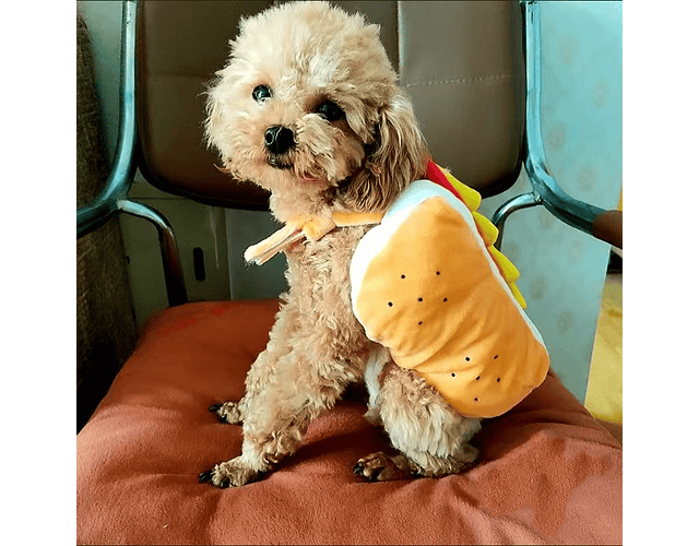 Disfraz Para Perros, Gatos Diseño Hot Dog Halloween Mascotas