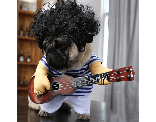 Disfraz Para Perros, Gatos Cosplay Con Guitarra Halloween Cs