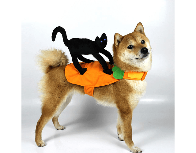 Disfraz Para Perros, Gatos Calabaza Con Gato Negro Halloween