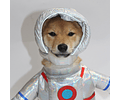 Disfraz Para Perros, Gatos De Astronauta Halloween Mascotas