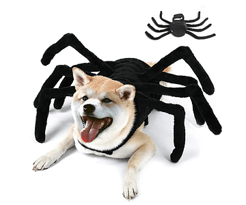 Disfraz Spider Para Perros Y Gatos Araña Halloween Mascotas