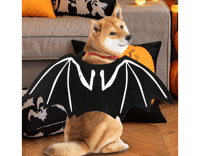 Disfraz Para Perros, Gatos Murciélago Halloween Mascotas