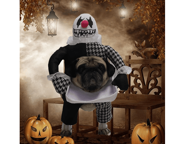 Disfraz Para Perros Y Gatos Cosplay Payaso Halloween Mascotas