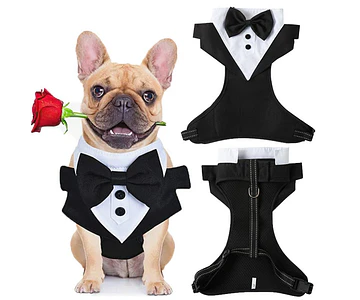 Smoking Traje Y Arnés Formal Humita Matrimonio Perro Mascota