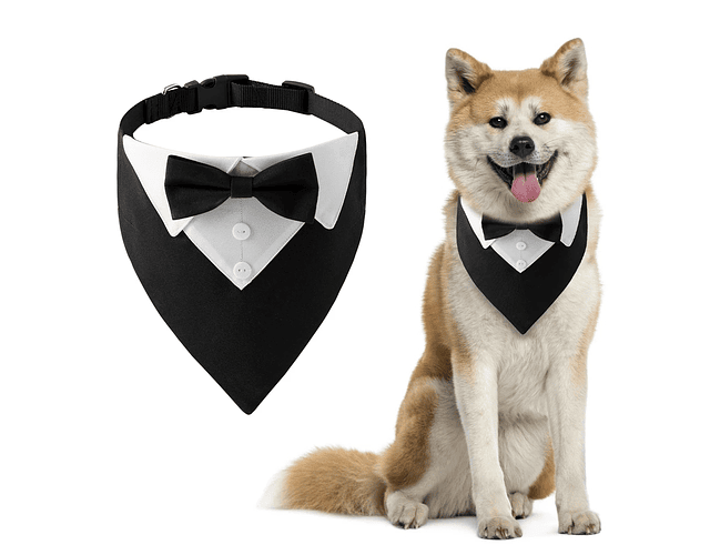 Ropa Bandana Smoking Negro Humita Para Matrimonio Mascotas