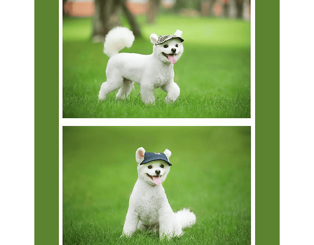 Gorro Jockey Beisbol Perro Gato Protección Solar De Mascota