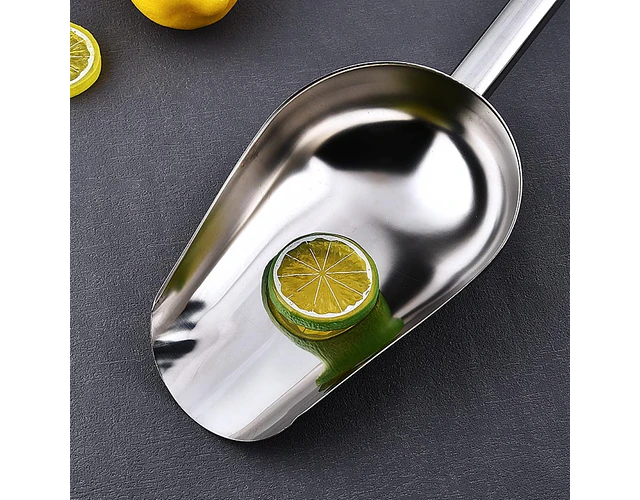 Pala Inoxidable Arena Sanitaria Mascotas Gatos Codystore