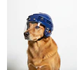 Casco Codystore Protección De Mascotas Bicicleta Moto Viajes