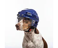 Casco Codystore Protección De Mascotas Bicicleta Moto Viajes