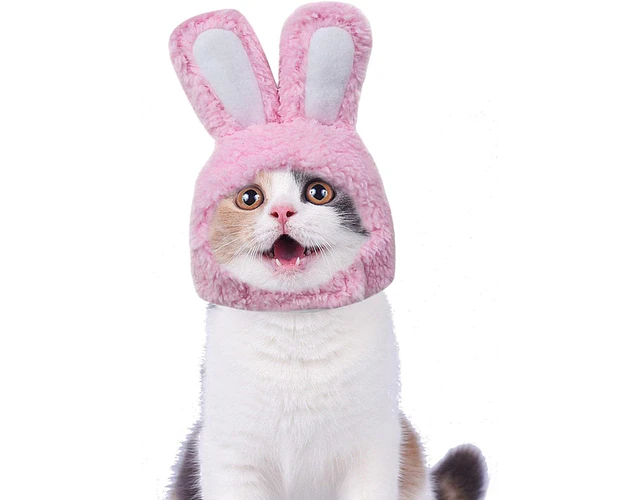 Gorro Orejas Cintillo Kawaii Para Gatos Invierno Mascotas Cs