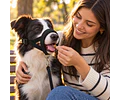 Bozal Para Perro De Neopreno Acolchado Adiestramiento Canino