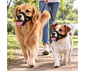 Bozal Para Perro De Neopreno Acolchado Adiestramiento Canino
