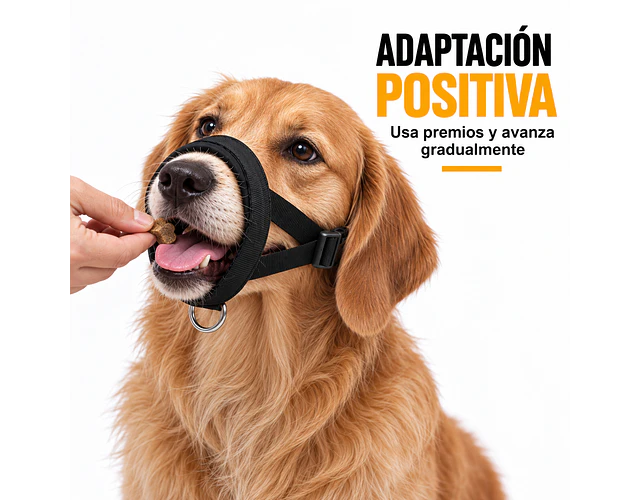 Bozal Para Perro De Neopreno Acolchado Adiestramiento Canino