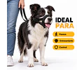 Bozal Para Perro De Neopreno Acolchado Adiestramiento Canino