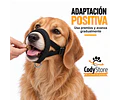 Bozal Para Perro De Neopreno Acolchado Adiestramiento Canino