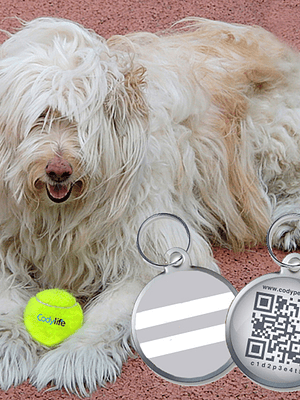 CODYPET - Chapa de identificação