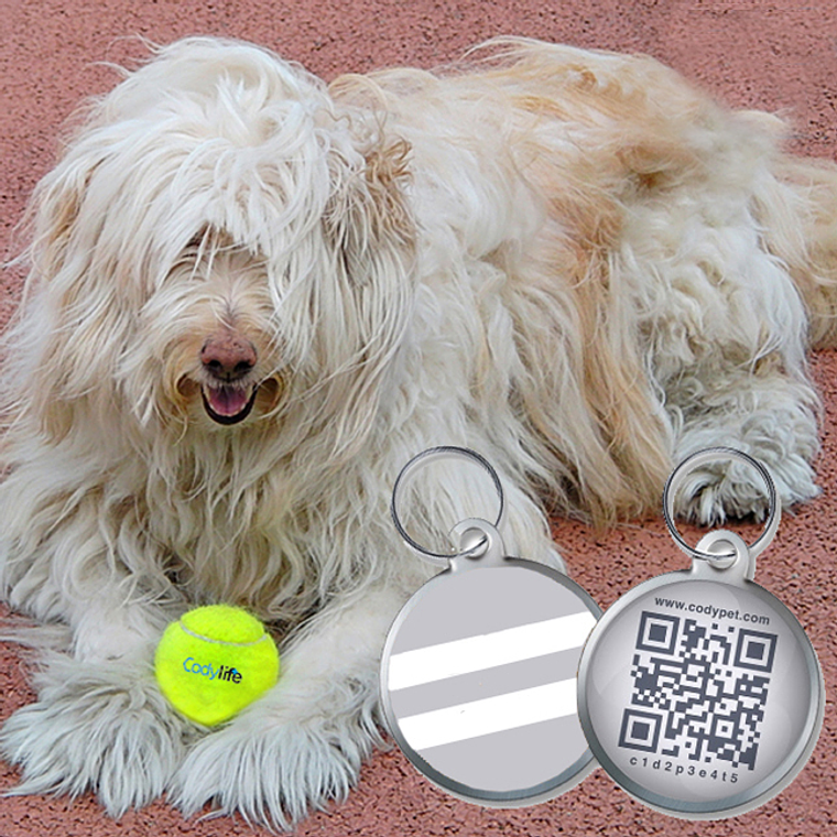 CODYPET - Chapa de identificação 1