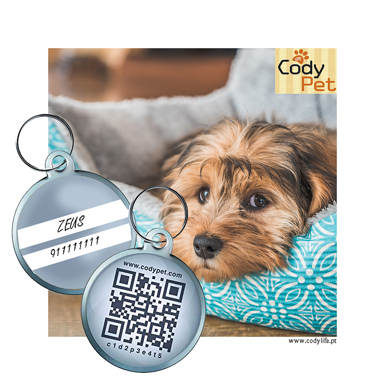 CODYPET - Chapa de identificação 3