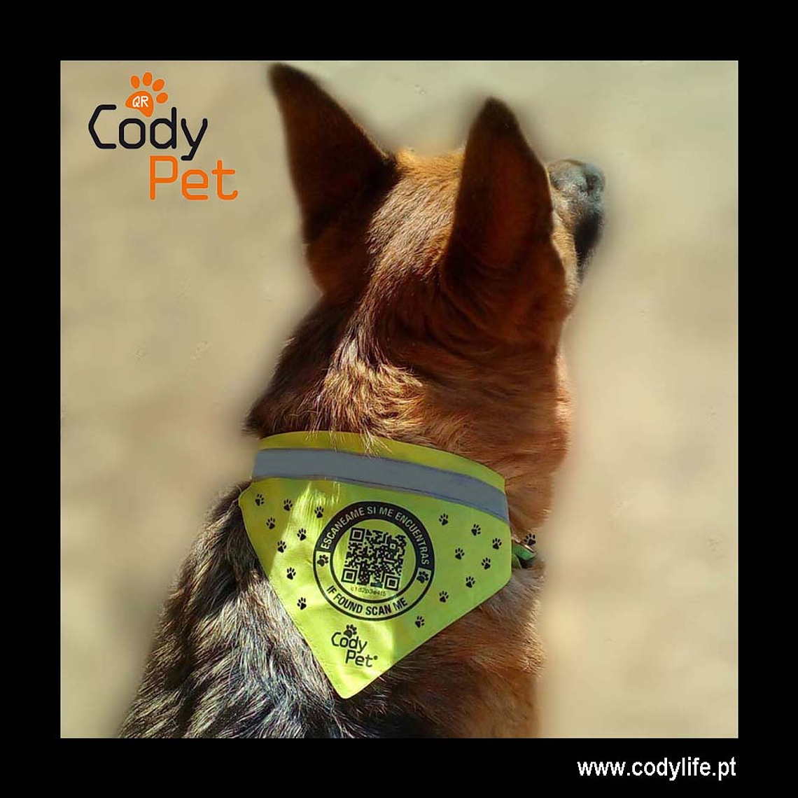CODYPET - Bandana 2