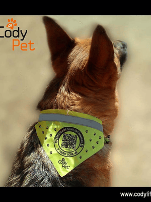 CODYPET - Bandana