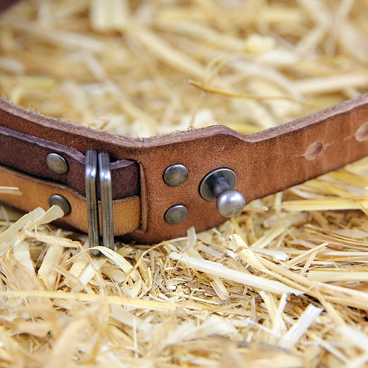 CODYLIFE - MONTANA 2