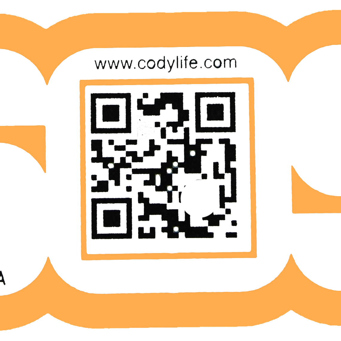 CODYLIFE - STICKER 3