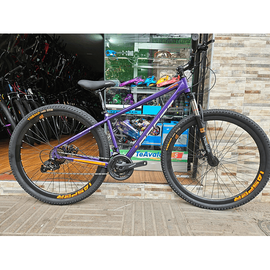 profit jasper z3 RIN 29 