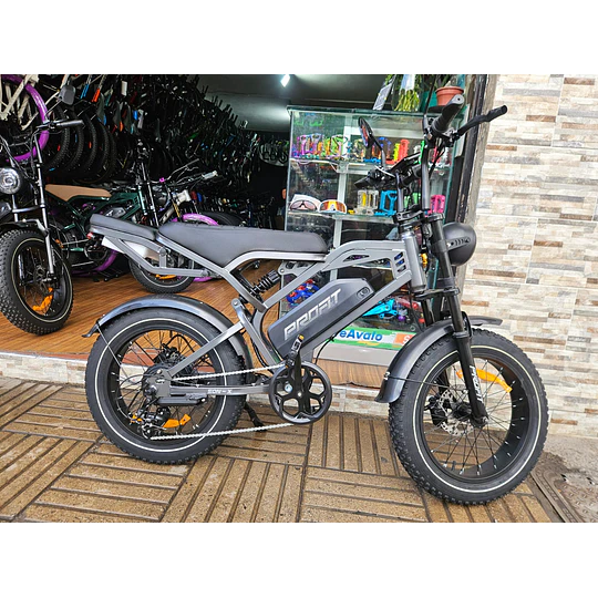 BICICLETA ELECTRICA EON-