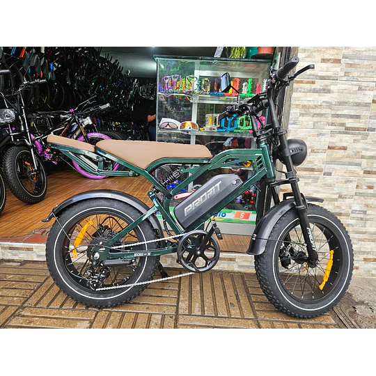 BICICLETA ELECTRICA EON-