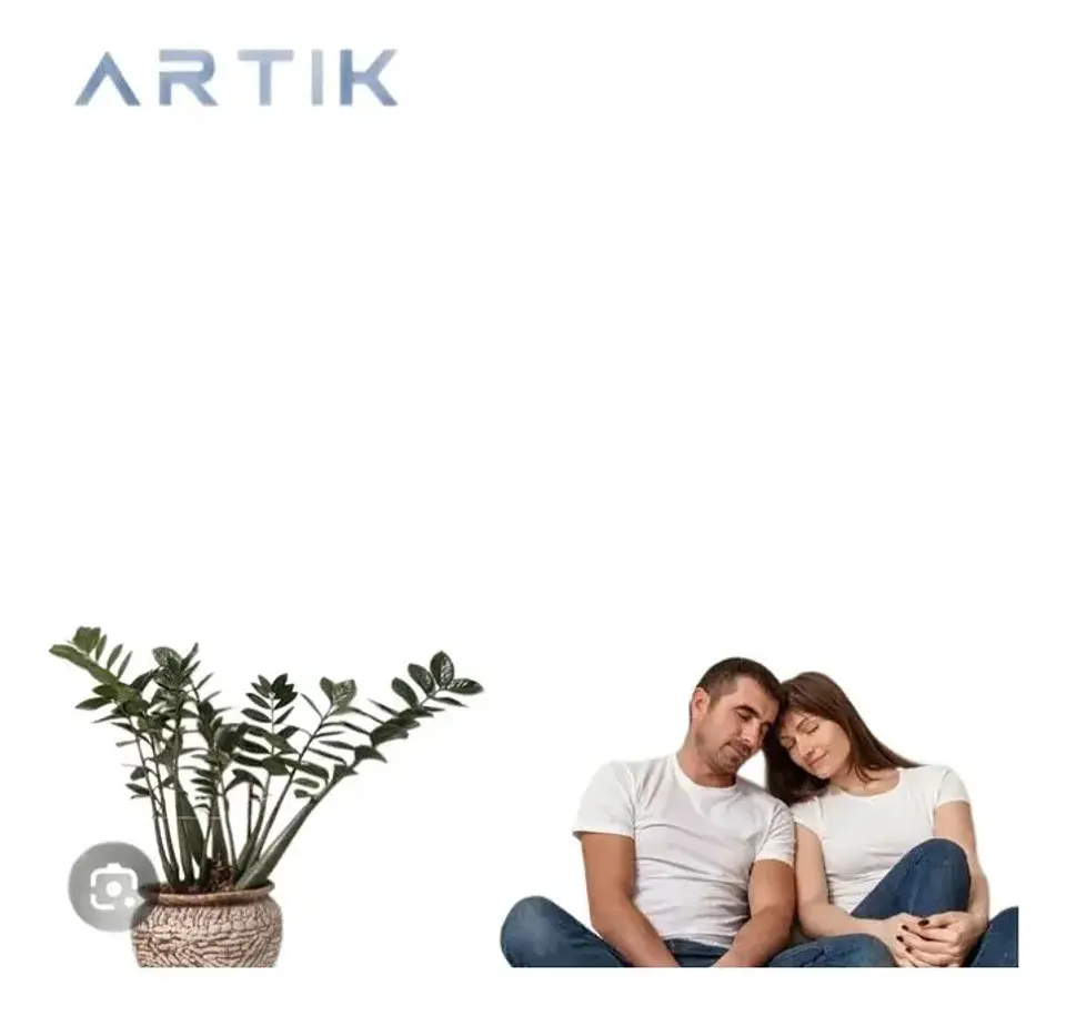 Aire Acondicionado Split Inverter Artik EVO 24.000 BTU WiFi 5