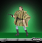 Princess Leia (Endor) - The Vintage Collection 3.75