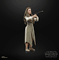 Princess Leia (Ewok Village) - The Black Series 6