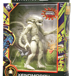 Xenomorph Drone - Alien Collection (Collectors Series) 7
