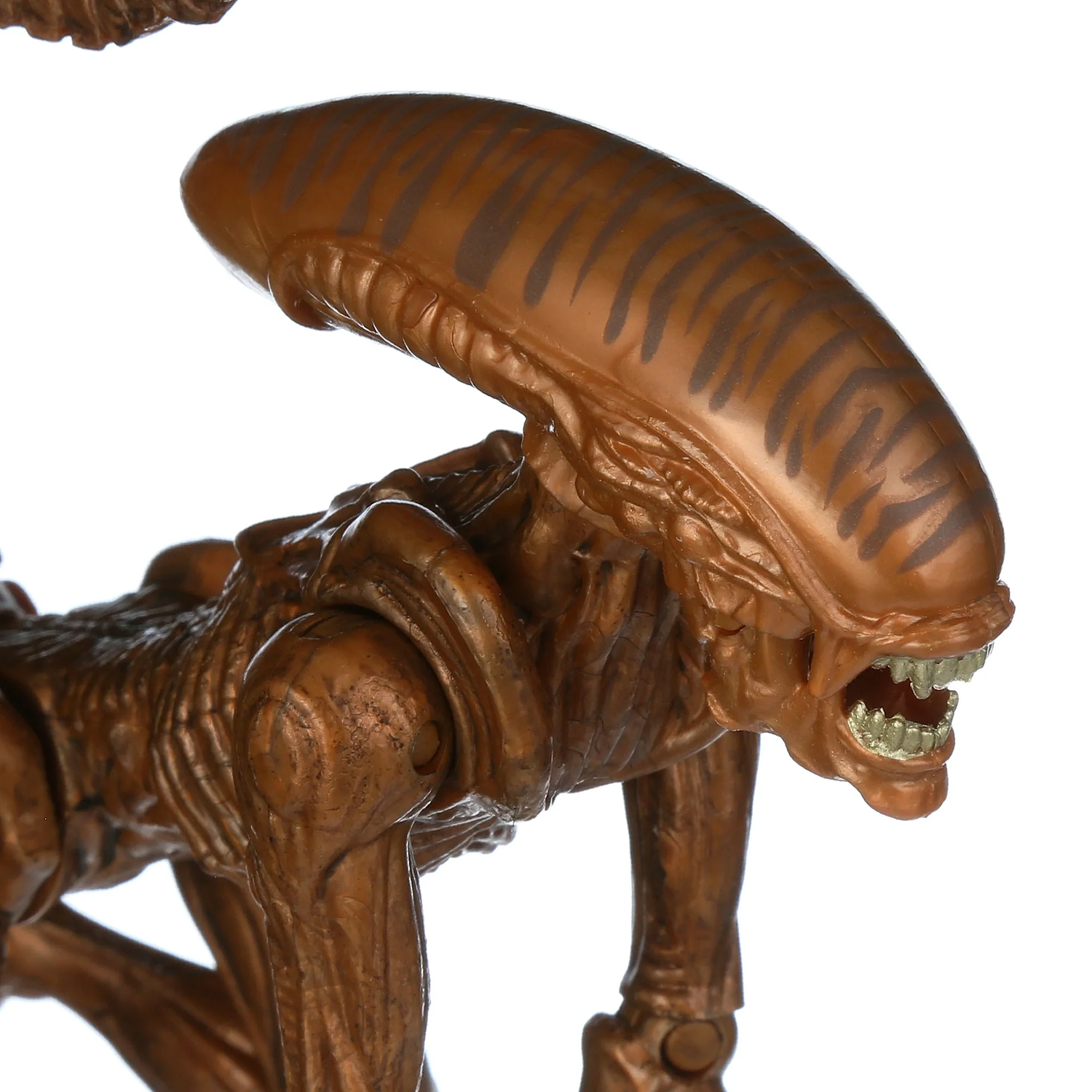 Xenomorph Runner - Alien Collection (Collectors Series) 7
