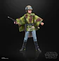 Princess Leia (Endor) (40th Anniversary) - The Black Series 6