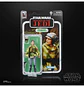 Princess Leia (Endor) (40th Anniversary) - The Black Series 6