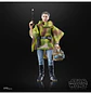 Princess Leia (Endor) (40th Anniversary) - The Black Series 6