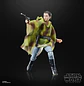 Princess Leia (Endor) (40th Anniversary) - The Black Series 6