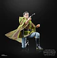 Princess Leia (Endor) (40th Anniversary) - The Black Series 6