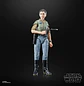 Princess Leia (Endor) (40th Anniversary) - The Black Series 6