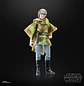 Princess Leia (Endor) (40th Anniversary) - The Black Series 6