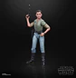 Princess Leia (Endor) (40th Anniversary) - The Black Series 6