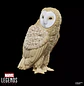 Marvel's Owl (Retro) - Marvel Legends 6